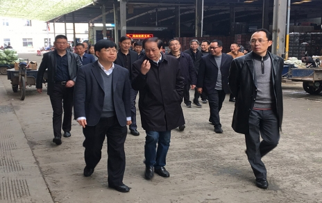2017年3月16日下午，嘉興市委常委、常務(wù)副市長樓建明帶領(lǐng)市級相關(guān)部門負(fù)責(zé)人視察嘉興蔬菜批發(fā)市場