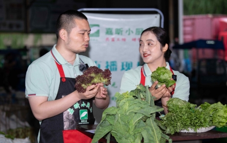 千金如玉，一口清心--生菜?油麥菜?萵筍直播專場(chǎng)